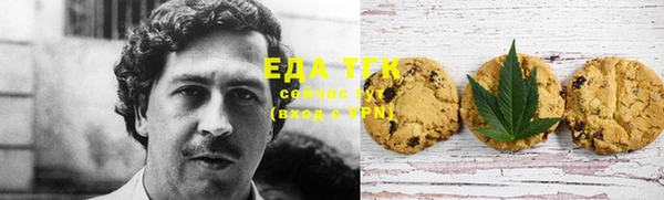 индика Аркадак