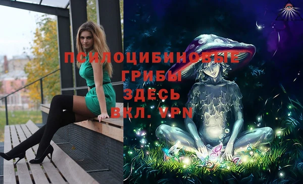 индика Аркадак