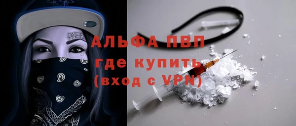 индика Аркадак