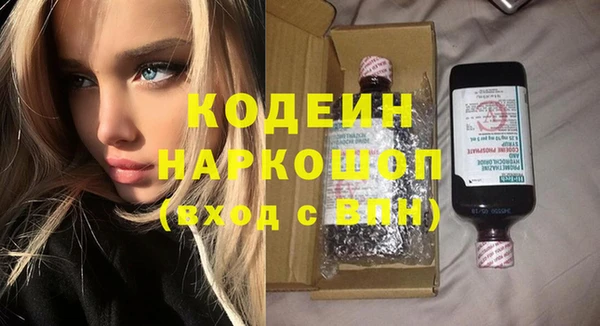 индика Аркадак