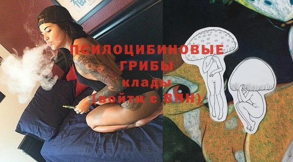 индика Аркадак