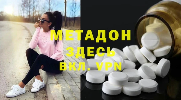 индика Аркадак